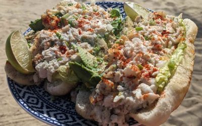 Bahama Crab Salad Rolls