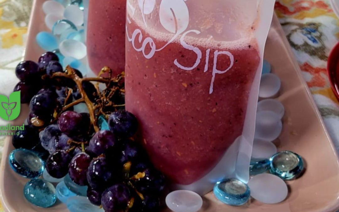 Fruity Juice Pouches