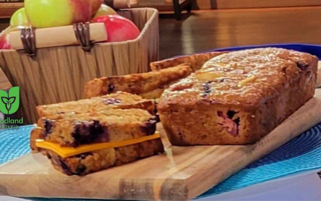 Apple Blueberry Oatmeal Bread