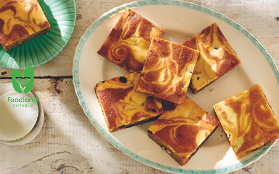 SQUASH BROWNIES WITH CHOCOLATE SWIRL TOPPING